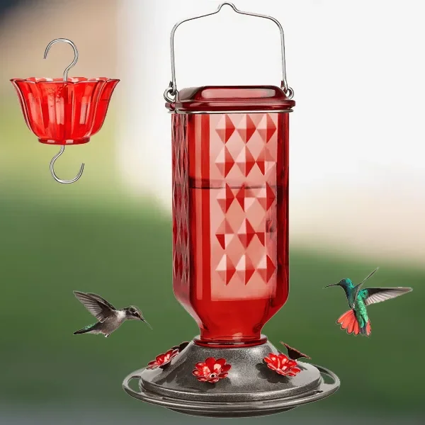 24oz Leak Proof Glass Hummingbird Feeder 0