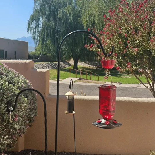 24oz Leak Proof Glass Hummingbird Feeder 1