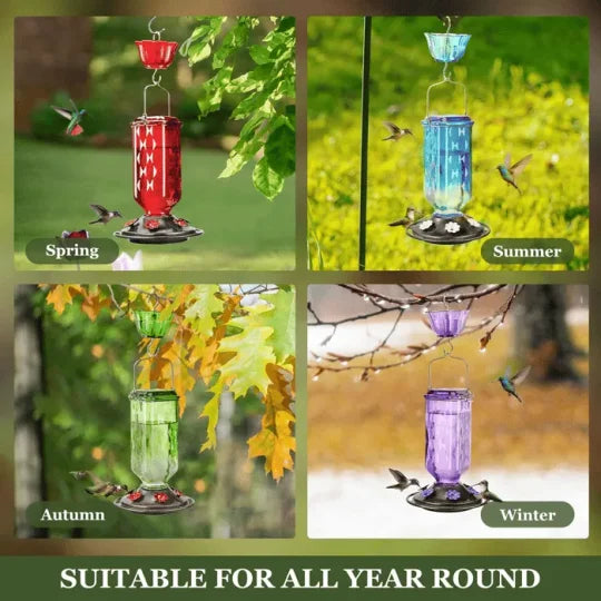 24oz Leak Proof Glass Hummingbird Feeder 3