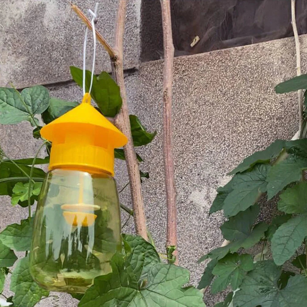 Hanging Fruit Fly Trap 1