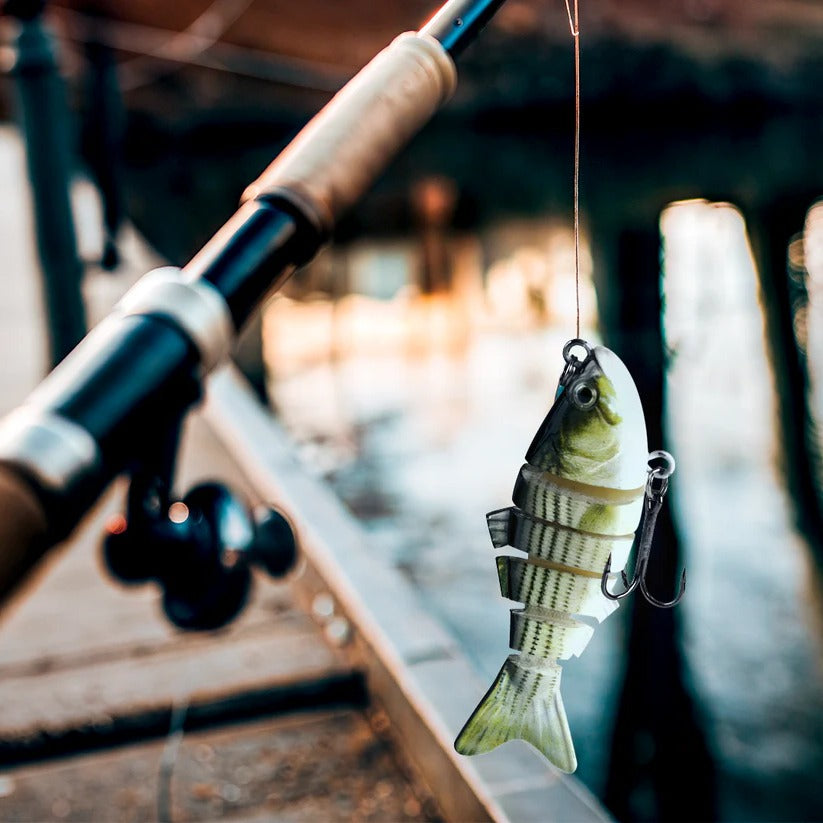 Swimming Lure 1