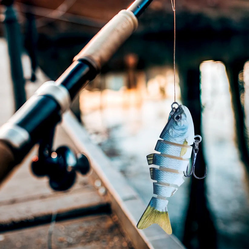 Swimming Lure 2
